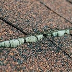 Roof Cleaning
