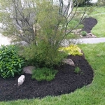 Additional Photos