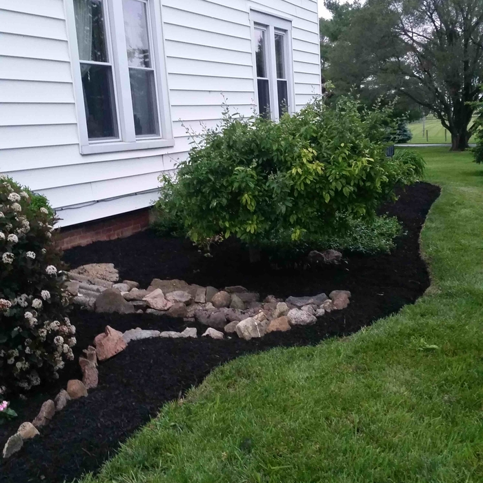 Additional Photos