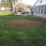 stump grinding