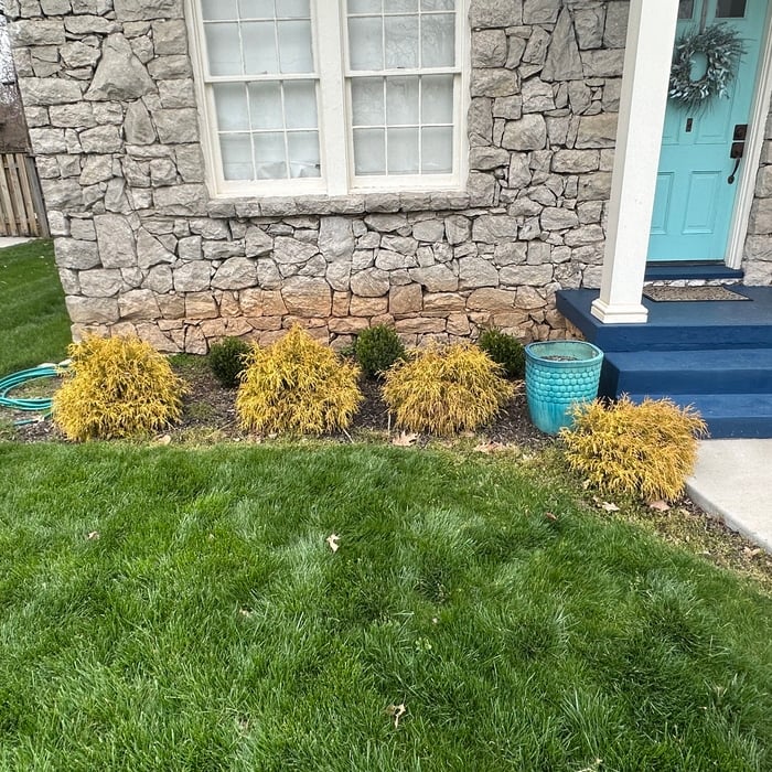 Landscaping Project