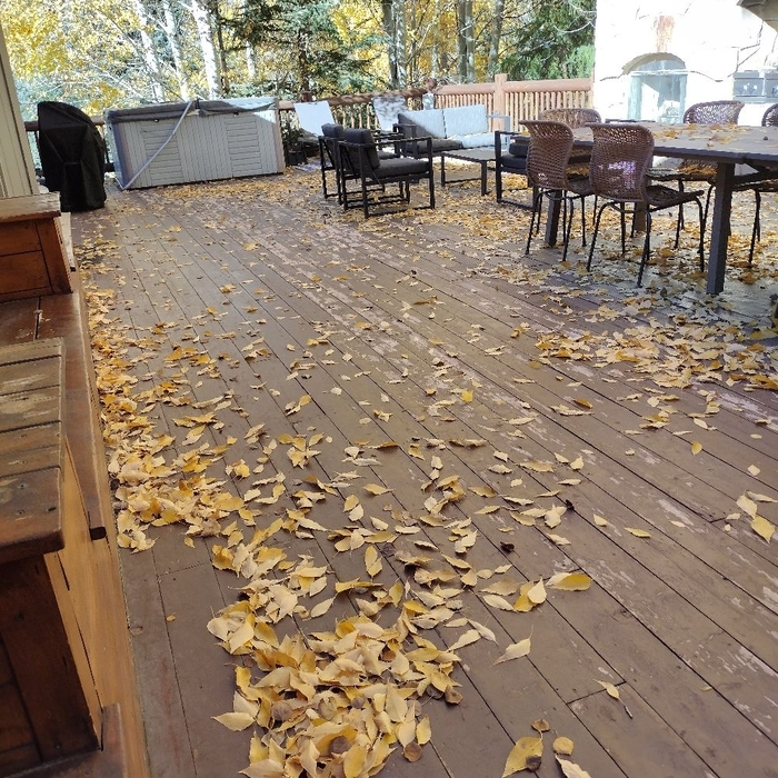 Additional Photos