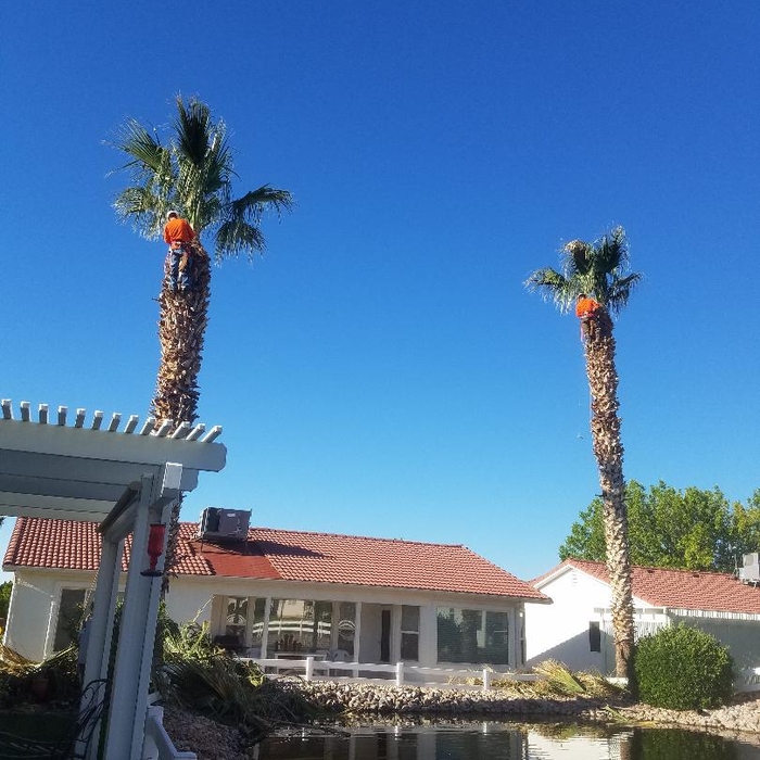 Additional Photos