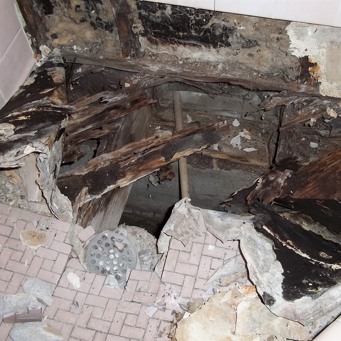 Sub-floor and joist damage.