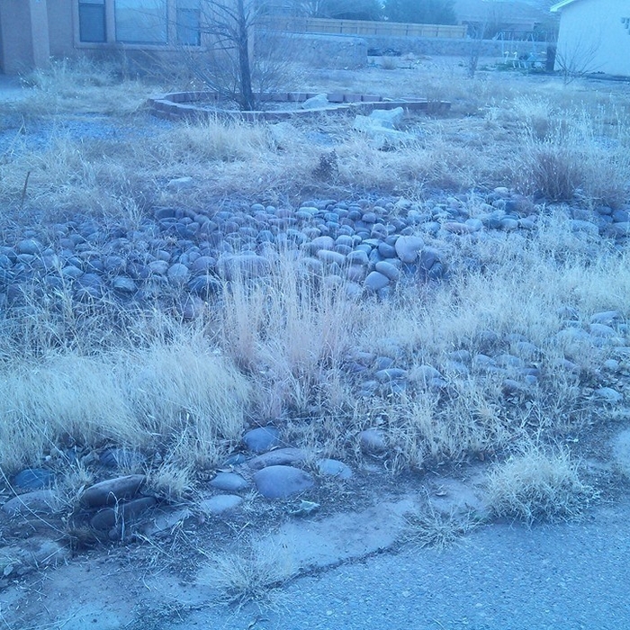 Additional Photos