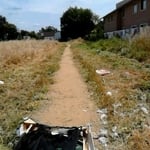 Weed Abatement Services