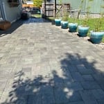 New lawn