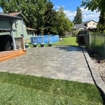 New lawn