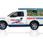 NEW WILDLIFE DIVISION