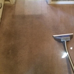 During the Carpet Cleaning Process