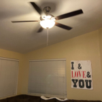 New Ceiling Fan with Light