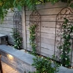 Accent wall / Seating wall with LED lighting