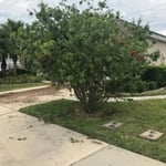 Landscaping Design