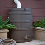 Our Rain Barrels