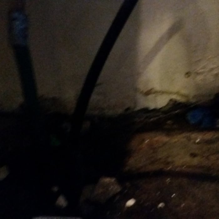 Mold Remediation