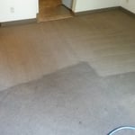 Carpet Cleaning
