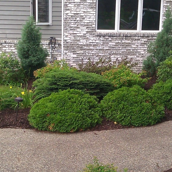 Additional Photos