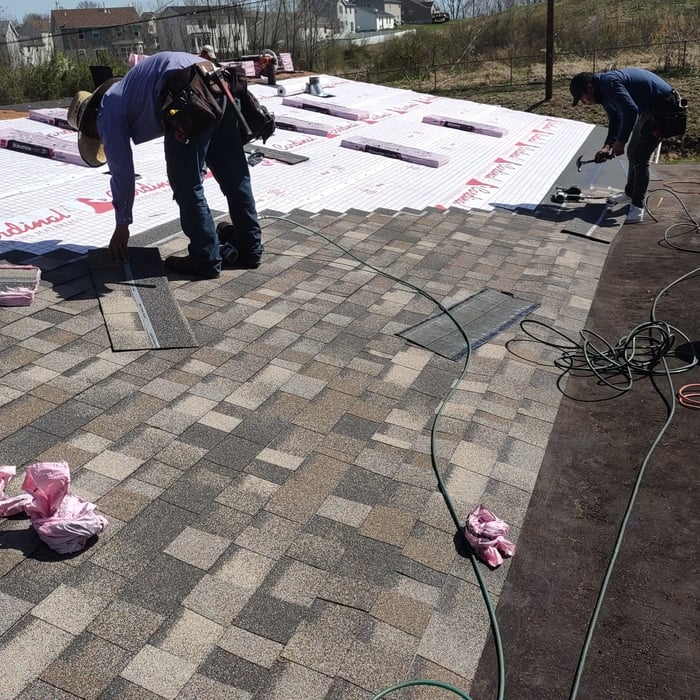 Shingle roof replacement