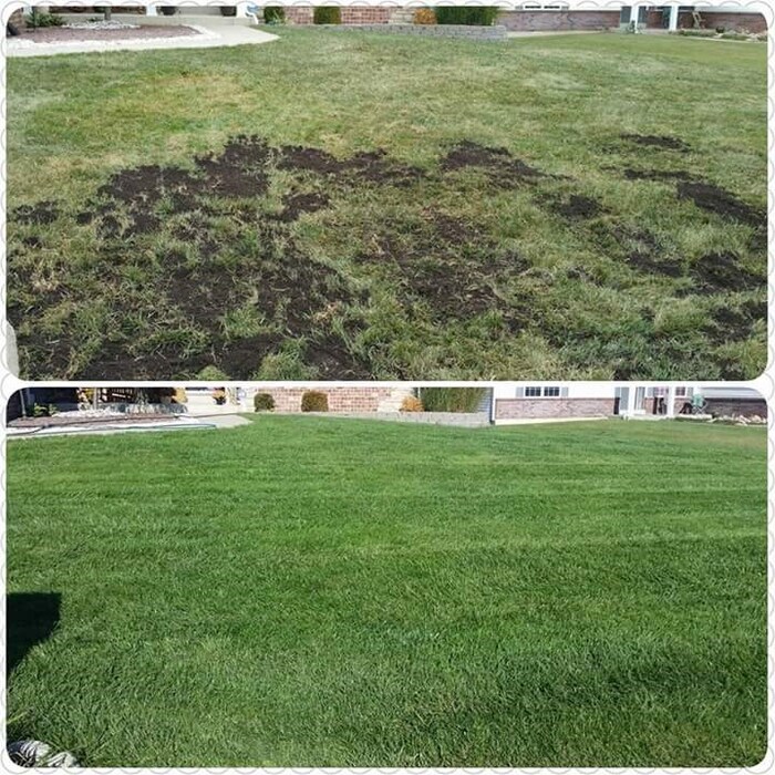Additional Photos