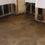 Sewage Cleanup