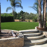 Premium Grass
