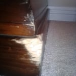 Wood Damaged