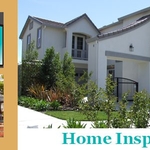 termite control