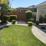 Landscaping Project