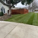 Landscaping Project