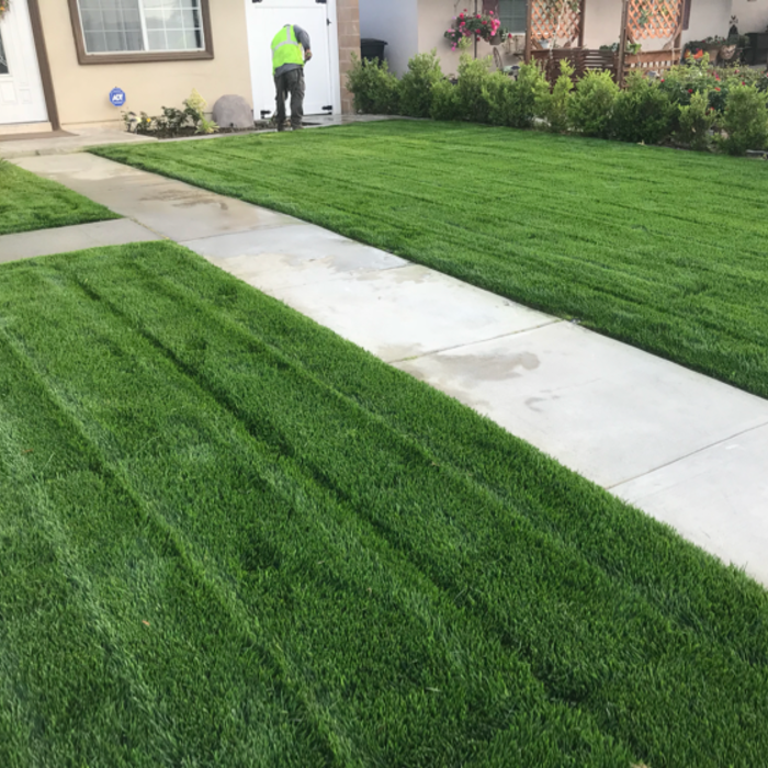 Additional Photos