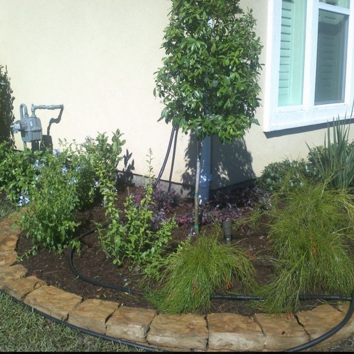 Additional Photos