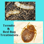 Big Daves Termite & Pest, LLC