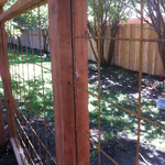 Custom Fences