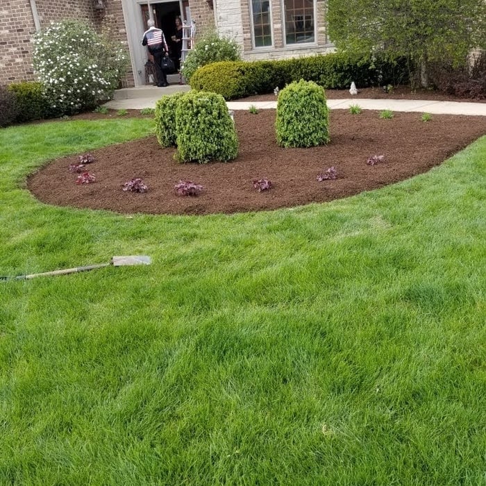 Additional Photos