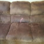 Additional Photos