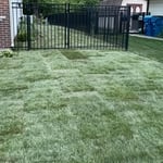 Landscaping Project