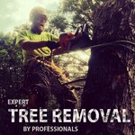 Tree removal