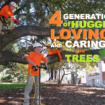 Four geneerations of Arbormax
