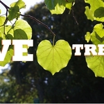 We heart trees