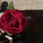 Housecleaning Project