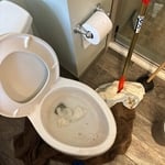 Clogged toilet. Clogged remove - Root intrusion found