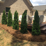 Additional Photos