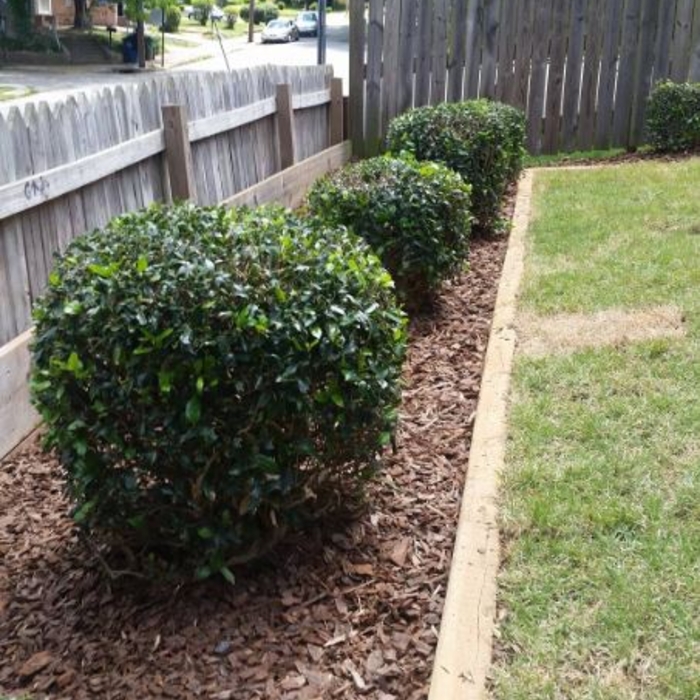 Additional Photos