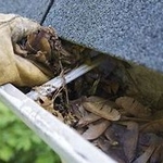 Gutter Cleaning Service
