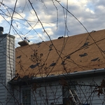 Roof replacement
