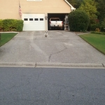 Before Pictures