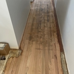 This floor had taken years of abuse, with lots of urine stains from pets. This picture was taken after the initial, rough sanding.
