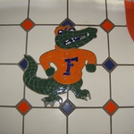 Gator