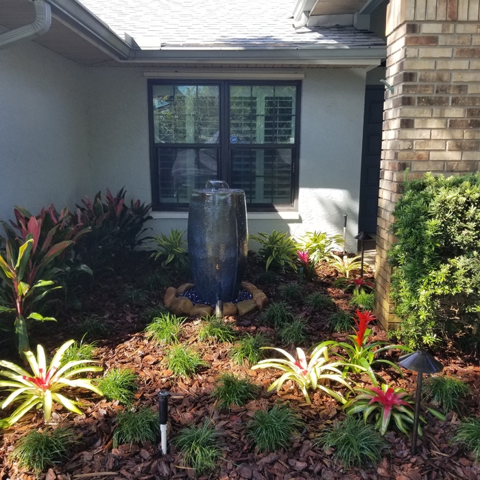 Additional Photos