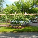 Orlando Landscaping Design